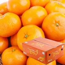 농협공판장 정성드린 귤로장생 프리미엄 노지감귤 5kg(M-2S/47-94과내)