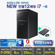 삼성 데스크탑5 DM500 12세대 i7 + Win11 Pro 포함 / 12세대 i7, 램8GB + SSD 256GB + HDD 1TB, Windows11 Pro, DM500TCZ i7 -B