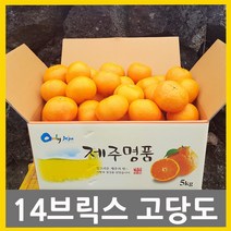 귤내음농장 고당도레드향 (선물용) (가정용) 2kg 3kg 5kg 다양하게 즐기세요 고당도레드향은역시 귤내음, 1개, 8.한정판매-못난이레드향 3kg혼합과벌크