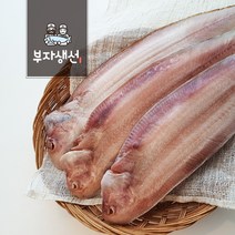 반건조 생선 골라담기 민어조기 침조기 서대 빨간고기 세트 모음 (망미중앙시장 부자생선)_, 서대35cm 3마리
