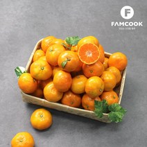 [팸쿡] 제주 햇감귤 5kg S사이즈, 단품