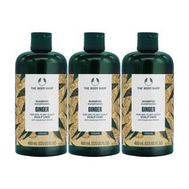 더바디샵 진저 스켈프 케어 샴푸 400ml 3개, 1세트
