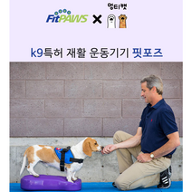 Fitpaws 핏포즈 강아지 훈련 노견 슬개골 디스크 허리 재활 치료 운동 짐볼 K9FITbone, 라지 1세트, 청록