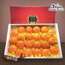 올찬 [올찬] 레드향 선물세트 3kg 왕특대 특대(8~13과), 1