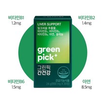 GC녹십자웰빙 그린픽 간건강 24g, 1개, 30정