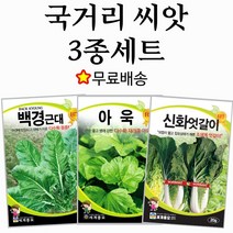 국거리 채소 씨앗 3종세트 아욱 근대 엇갈이 종자 얼갈이 텃밭채소 봄 여름 가을 작물 파종, 1개