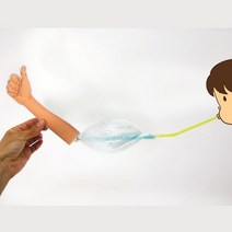과학실험키트 뼈와 근육의 관계 팔근육의 모형 만들기 탐구보고서제공