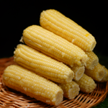특상 사이즈 홍찰 백찰 옥수수 10개, 홍찰 옥수수 (소 10-15cm 내외)