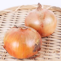 [황토양파] 양파 [20kg], 1개