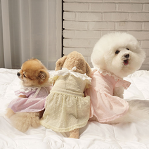 블랙라벨퍼피 케이프원피스 강아지원피스 강아지여름옷 레이스 파스텔 3종, 핑크