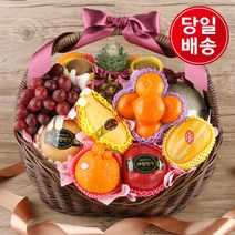 과일연가 [1/20일 09시주문건까지 명절전배송][과일선물세트] 행복한 과일바구니 (수도권 당일)