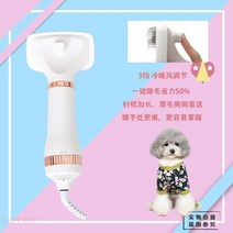 강아지 미용 드라이기 반려동물 비숑 대형견 드라이빗 중형견 드라이어 건조기 소형견 털건조기, [3세대] 화이트골드