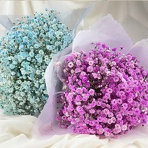 예쁜꽃다발 생일꽃배달 생화꽃다발 안개꽃다발 핵가성비에디션, 10_판타지 라벤더_선물포장_사각화병