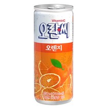 오란씨 오렌지맛 250ml x 30캔 x 2박스 탄산음료 탄산음료 음료수, 동아-오란씨오렌지250㎖(30캔)x2