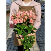 데일리꽃 햇살장미 생화 반단 한단 택배 농장직송