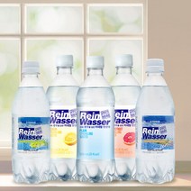 동아오츠카 [동아오츠카] 라인바싸 탄산수 500ml 총 40입 (택2/샤인머스캣.파인애플.플레인.레몬.자몽/20입 2박스), 자몽 1박스/★샤인머스캣 1박스