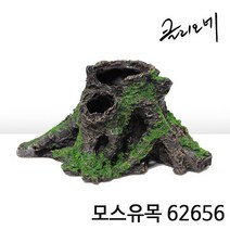 클리오네 모스유목 62656 / 파충류용품 도마뱀은신처 육지거북 수족관 반수생 장식 유목