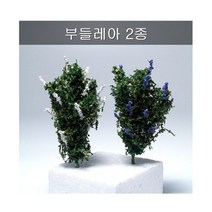 디오라마 부들레아 모형, [6562740]옵션없음