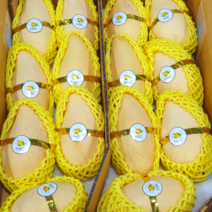 [달달쫀득] 항공직송 고당도 망고 태국망고 골드망고, 1개, 망고 2.5kg (4-7과)