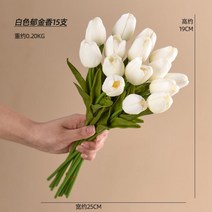 유리화병 마옥 노르딕 촉감 튤립 모조꽃 빔 인조 응접실이 있다 식탁 기예 장식 A스윙 설치함 2837173252, 화이트 튤립 15 즈 꼭지 소액 지폐