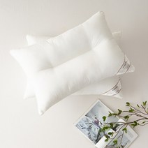 SESA 다운필 소프트2 경추베개솜 40X60, 없음