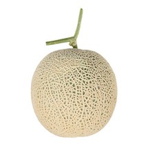 곡성 머스크 멜론 2kg