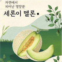 GAP 나주 세지 메론 세론이 멜론 정품 11~13brx, 흰박스(11브릭스)4수크기 1통 1.25kg
