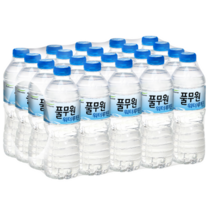무배 풀무원샘물 500mL x 20패트 워터루틴 대량 청정지역 몸에좋은 미네랄물 식수, 500mL X 20병