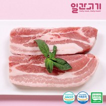 [일간고기][냉장]무항생제 한돈 삼겹살 구이용 500g, 단품