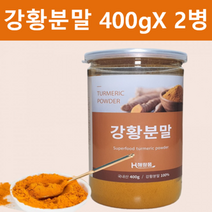 국내산 강황 분말 가루 약 400gX2병