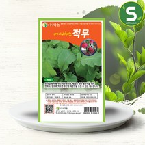 솔림텃밭몰 베이비적무씨앗 30g 베이비채소 적무씨앗 베이비적무, 단품