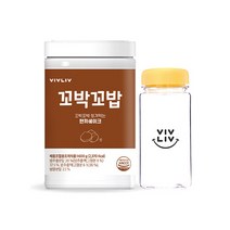 [올리브영단독] 비브리브 꼬박꼬밥 식사대용 단백질 쉐이크 보틀기획 600g 6종 택1, 보틀기획 밤 600g