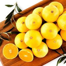 [농장직송] 제주 프리미엄 황금향, 가정용 4.5kg(대)