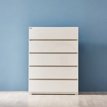 동서가구/착불 렌디 800 5단 서랍장 DF920924, 화이트