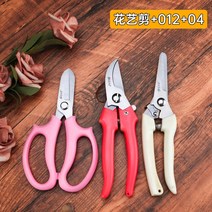 화예사 전용 꽃꽂이가위 가지치기 가위 가정용 꽃가위 꽃가위 가게 전용 장미꽃가위 손질, 08. 분화예가위 012수지가위 04과지가위