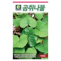 씨앗과세상만물 곰취나물 씨앗 100립, 1팩