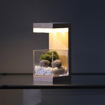 모던포인트 원목 플랜테리어 LED 식물 무드등, [02] 이오난사 회색자갈 SET, 어댑터, 네추럴 베이지