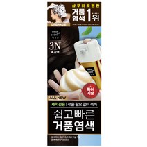 미쟝센 쉽고 빠른 거품 염색 새치전용, 3N 흑갈색, 1개