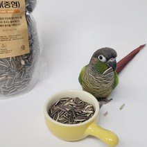 앵무새 간식 세척 볶음 해바라기씨 소형 중형 대형 500g, 중형500g