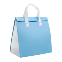 부직포 냉온 쇼핑백가방 파랑 중(27.5x16x27.5cm), 단품, 단품