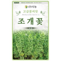 설악초 20립 - 초설초 야광초 야생화 씨앗 꽃씨 씨 꽃씨앗 야생화씨앗 고급꽃씨 고급꽃씨앗, 13_다농_조개꽃(50립)