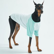 럭키페터 나그랑 강아지 옷 소형견 대형견 티셔츠 화이트 시리즈, 화이트/민트