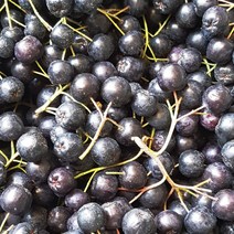 전북 고창 23년 햇 냉동과 아로니아 최상품(줄기제거안됨) 5kg/벌크포장, 1개