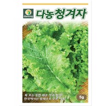 다-청겨자(겨자채) 5g