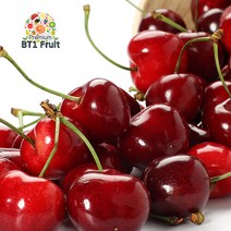 [항공직수입]칠레 싱싱체리 2.5kg(10row)