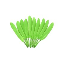거위깃털 소 약1.5~1.8cm×12~15cm 연두 100개 자연재료 거위털 인디언장식 노리프렌즈 만들기재료