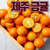 핵달달 새콤달콤 껍질째 한입에 즐기는 상큼한 금귤(낑깡), 2kg