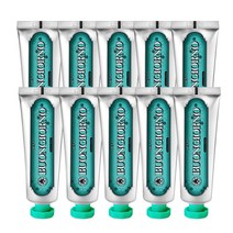 아토세이프 덴티본조르노 구취케어 치약 100g 10개, 단품