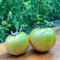 농협인증 당일수확 일반 부산 대저토마토 2.5kg, 옵션1. 일반 대저 토마토 S(2.5kg)