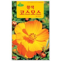 청농 황색코스모스 꽃씨앗 150립, 1개